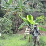 Arena Tempat Paintball di Puncak
