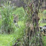 Arena Tempat Paintball di Puncak