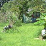 Tempat Paintball dan Rafting di Puncak